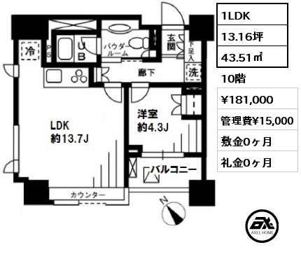 間取り11 1LDK 43.51㎡ 10階 賃料¥181,000 管理費¥15,000 敷金0ヶ月 礼金0ヶ月