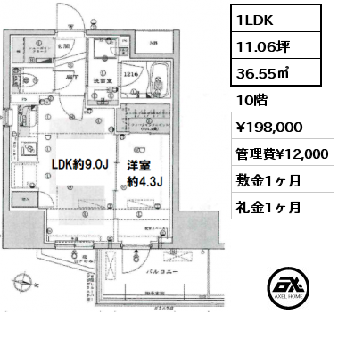 1LDK 36.55㎡ 10階 賃料¥198,000 管理費¥12,000 敷金1ヶ月 礼金1ヶ月