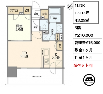 1LDK 43.08㎡ 5階 賃料¥210,000 管理費¥15,000 敷金1ヶ月 礼金1ヶ月