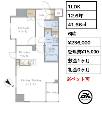 1LDK 41.66㎡ 6階 賃料¥236,000 管理費¥15,000 敷金1ヶ月 礼金0ヶ月 5月中旬入居予定