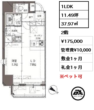 間取り1 1LDK 37.97㎡ 2階 賃料¥175,000 管理費¥10,000 敷金1ヶ月 礼金1ヶ月