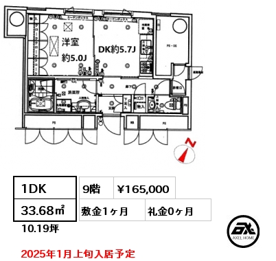 間取り1 1DK 33.68㎡ 9階 賃料¥165,000 敷金1ヶ月 礼金0ヶ月 2025年1月上旬入居予定