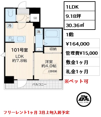 1LDK 30.36㎡ 1階 賃料¥164,000 管理費¥15,000 敷金1ヶ月 礼金1ヶ月 フリーレント1ヶ月 3月上旬入居予定