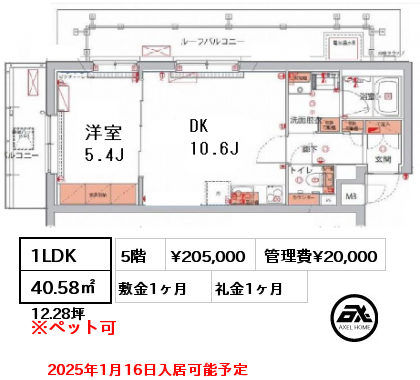 間取り10 1LDK 40.58㎡ 5階 賃料¥205,000 管理費¥20,000 敷金1ヶ月 礼金1ヶ月 2025年1月16日入居可能予定