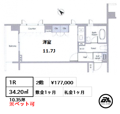 間取り10 1R 34.20㎡ 2階 賃料¥177,000 敷金1ヶ月 礼金1ヶ月 　　　　　　　　　　　　　　　　　 　　　　　　　　　　　