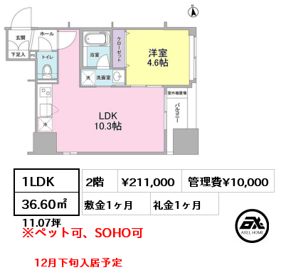 間取り11 1LDK 36.60㎡ 2階 賃料¥211,000 管理費¥10,000 敷金1ヶ月 礼金1ヶ月 12月下旬入居予定