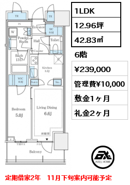 1LDK 42.83㎡ 6階 賃料¥239,000 管理費¥10,000 敷金1ヶ月 礼金2ヶ月 定期借家2年　11月下旬案内可能予定