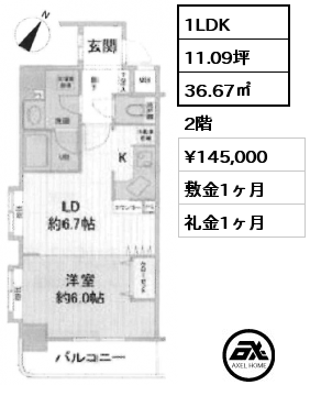 1LDK 36.67㎡ 2階 賃料¥145,000 敷金1ヶ月 礼金1ヶ月