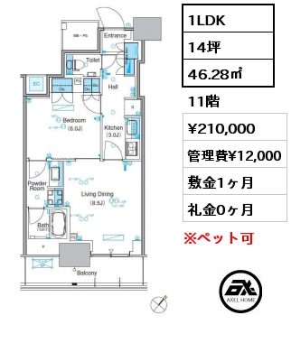 1LDK 46.28㎡ 11階 賃料¥210,000 管理費¥12,000 敷金1ヶ月 礼金0ヶ月