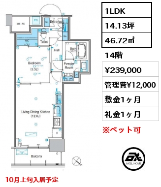 1LDK 46.72㎡ 14階 賃料¥239,000 管理費¥12,000 敷金1ヶ月 礼金1ヶ月 10月上旬入居予定