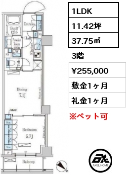 間取り12 1LDK 37.75㎡ 3階 賃料¥255,000 敷金1ヶ月 礼金1ヶ月 　