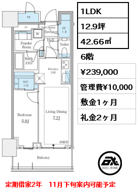 1LDK 42.66㎡ 6階 賃料¥239,000 管理費¥10,000 敷金1ヶ月 礼金2ヶ月 定期借家2年　11月下旬案内可能予定