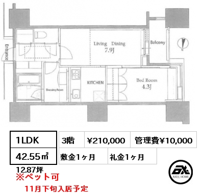 間取り12 1LDK 42.55㎡ 3階 賃料¥210,000 管理費¥10,000 敷金1ヶ月 礼金1ヶ月 11月下旬入居予定