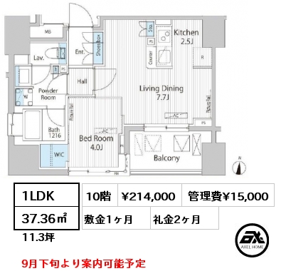 間取り13 1LDK 37.36㎡ 10階 賃料¥214,000 管理費¥15,000 敷金1ヶ月 礼金2ヶ月 9月下旬より案内可能予定