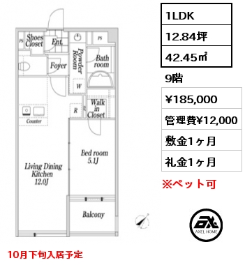 間取り13 1LDK 42.45㎡ 9階 賃料¥185,000 管理費¥12,000 敷金1ヶ月 礼金1ヶ月 10月下旬入居予定