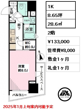 間取り13 1K 28.6㎡ 2階 賃料¥133,000 管理費¥8,000 敷金1ヶ月 礼金1ヶ月 2025年1月上旬案内可能予定