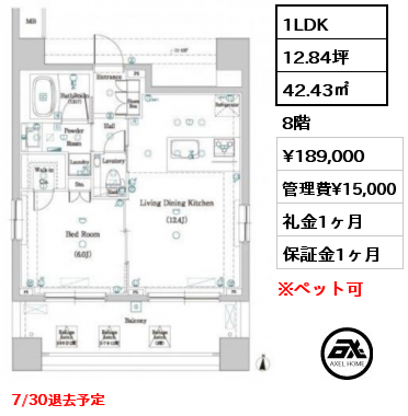 1LDK 42.43㎡ 8階 賃料¥189,000 管理費¥15,000 礼金1ヶ月 7/30退去予定