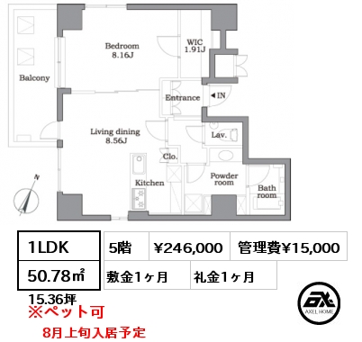 1LDK 50.78㎡ 5階 賃料¥246,000 管理費¥15,000 敷金1ヶ月 礼金1ヶ月 8月上旬入居予定