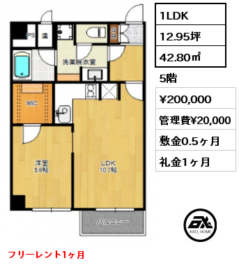 間取り15 1LDK 42.80㎡ 5階 賃料¥200,000 管理費¥20,000 敷金0.5ヶ月 礼金1ヶ月 フリーレント1ヶ月　　