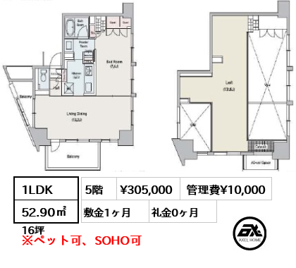 間取り15 1LDK 52.90㎡  賃料¥300,000 管理費¥10,000 敷金1ヶ月 礼金0ヶ月