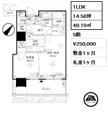 1LDK 48.19㎡ 5階 賃料¥250,000 敷金1ヶ月 礼金1ヶ月