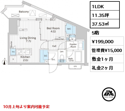 1LDK 37.53㎡ 5階 賃料¥199,000 管理費¥15,000 敷金1ヶ月 礼金2ヶ月 10月上旬より案内可能予定