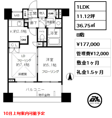 1LDK 36.75㎡ 8階 賃料¥177,000 管理費¥12,000 敷金1ヶ月 礼金1.5ヶ月 10月上旬案内可能予定