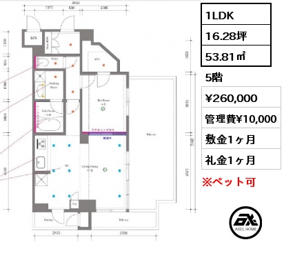 1LDK 53.81㎡ 5階 賃料¥260,000 管理費¥10,000 敷金1ヶ月 礼金1ヶ月 　