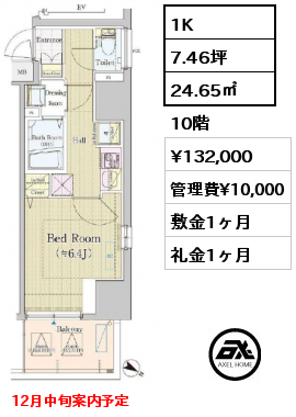 1K 24.65㎡ 10階 賃料¥132,000 管理費¥10,000 敷金1ヶ月 礼金1ヶ月 12月中旬案内予定