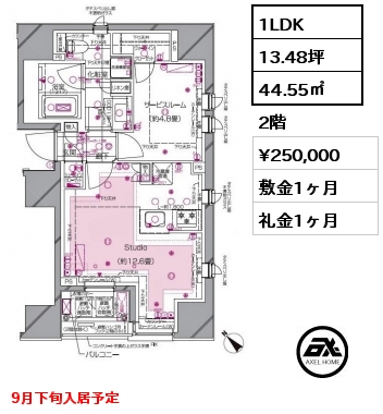 1LDK 44.55㎡ 2階 賃料¥250,000 敷金1ヶ月 礼金1ヶ月 9月下旬入居予定
