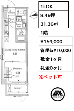 1LDK 31.36㎡ 1階 賃料¥159,000 管理費¥10,000 敷金1ヶ月 礼金0ヶ月