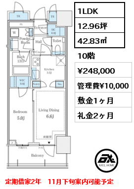 1LDK 42.83㎡ 10階 賃料¥248,000 管理費¥10,000 敷金1ヶ月 礼金2ヶ月 定期借家2年　11月下旬案内可能予定