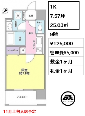 1K 25.03㎡ 9階 賃料¥125,000 管理費¥5,000 敷金1ヶ月 礼金1ヶ月 11月上旬入居予定