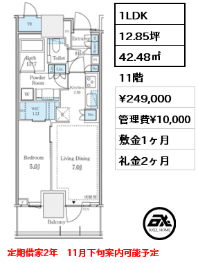 1LDK 42.48㎡ 11階 賃料¥249,000 管理費¥10,000 敷金1ヶ月 礼金2ヶ月 定期借家2年　11月下旬案内可能予定