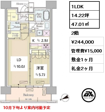 1LDK 47.01㎡ 2階 賃料¥239,000 管理費¥15,000 敷金1ヶ月 礼金1ヶ月 10月下旬より案内可能予定