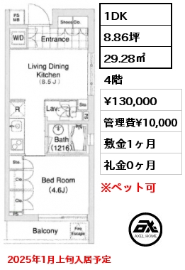 1DK 29.28㎡ 4階 賃料¥130,000 管理費¥10,000 敷金1ヶ月 礼金0ヶ月 2025年1月上旬入居予定