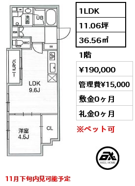 1LDK 36.56㎡ 1階 賃料¥190,000 管理費¥15,000 敷金0ヶ月 礼金0ヶ月 11月下旬内見可能予定　