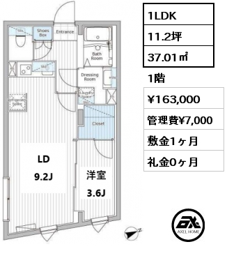 1LDK 37.01㎡ 1階 賃料¥163,000 管理費¥7,000 敷金1ヶ月 礼金0ヶ月