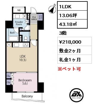 1LDK 43.18㎡ 3階 賃料¥218,000 敷金2ヶ月 礼金1ヶ月