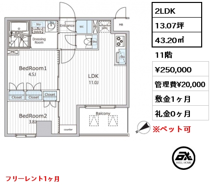 2LDK 43.20㎡ 11階 賃料¥250,000 管理費¥20,000 敷金1ヶ月 礼金0ヶ月 フリーレント1ヶ月