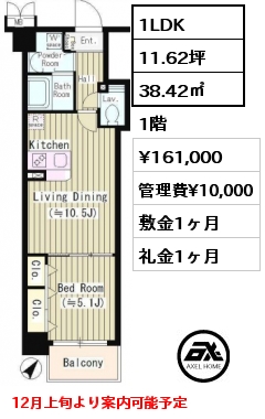 1LDK 38.42㎡ 1階 賃料¥161,000 管理費¥10,000 敷金1ヶ月 礼金1ヶ月 12月上旬より案内可能予定