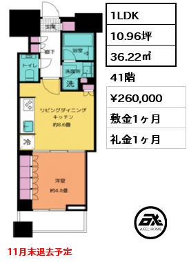 1LDK 36.22㎡ 41階 賃料¥260,000 敷金1ヶ月 礼金1ヶ月 11月末退去予定