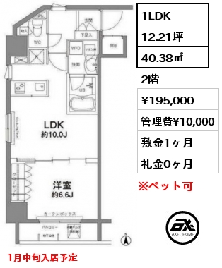 1LDK 40.38㎡ 2階 賃料¥195,000 管理費¥10,000 敷金1ヶ月 礼金0ヶ月 1月中旬入居予定