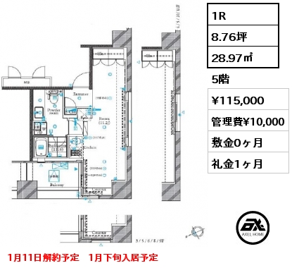 1R 28.97㎡ 5階 賃料¥115,000 管理費¥10,000 敷金0ヶ月 礼金1ヶ月 1月11日解約予定　1月下旬入居予定