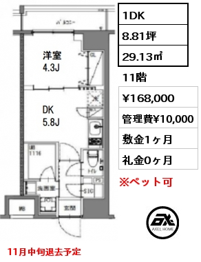 1DK 29.13㎡ 11階 賃料¥168,000 管理費¥10,000 敷金1ヶ月 礼金0ヶ月 11月中旬退去予定