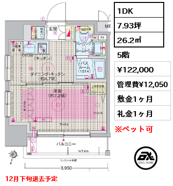 1DK 26.2㎡ 5階 賃料¥122,000 管理費¥12,050 敷金1ヶ月 礼金1ヶ月 12月下旬退去予定