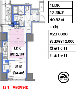 1LDK 40.83㎡ 11階 賃料¥237,000 管理費¥12,000 敷金1ヶ月 礼金1ヶ月 12月中旬案内予定