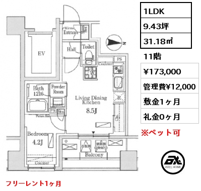 1LDK 31.18㎡ 11階 賃料¥173,000 管理費¥12,000 敷金1ヶ月 礼金0ヶ月 フリーレント1ヶ月