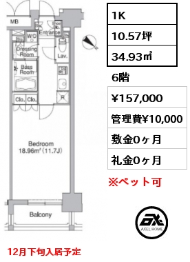 1K 34.93㎡ 6階 賃料¥157,000 管理費¥10,000 敷金0ヶ月 礼金0ヶ月 12月下旬入居予定