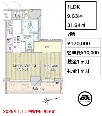 間取り3 1LDK 31.84㎡ 7階 賃料¥170,000 管理費¥10,000 敷金1ヶ月 礼金1ヶ月 2025年1月上旬案内可能予定